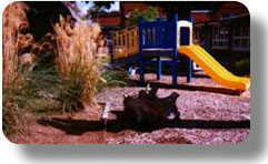 preschool-natural-playground
